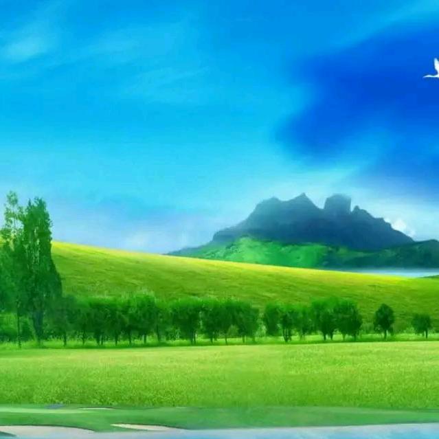 阿红《2》