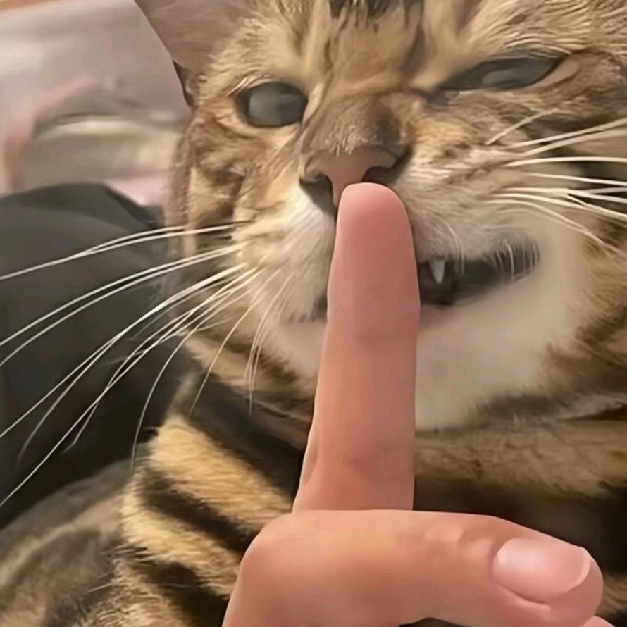 溪木源