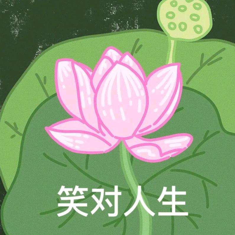 霖听谋略