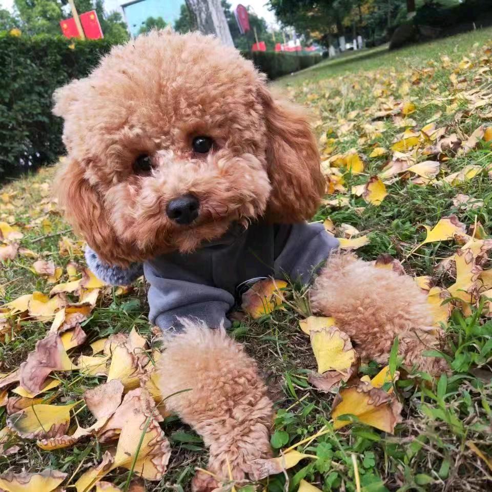 啊老王