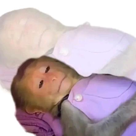 这里没有名字哦