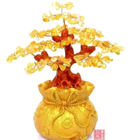 清心缘