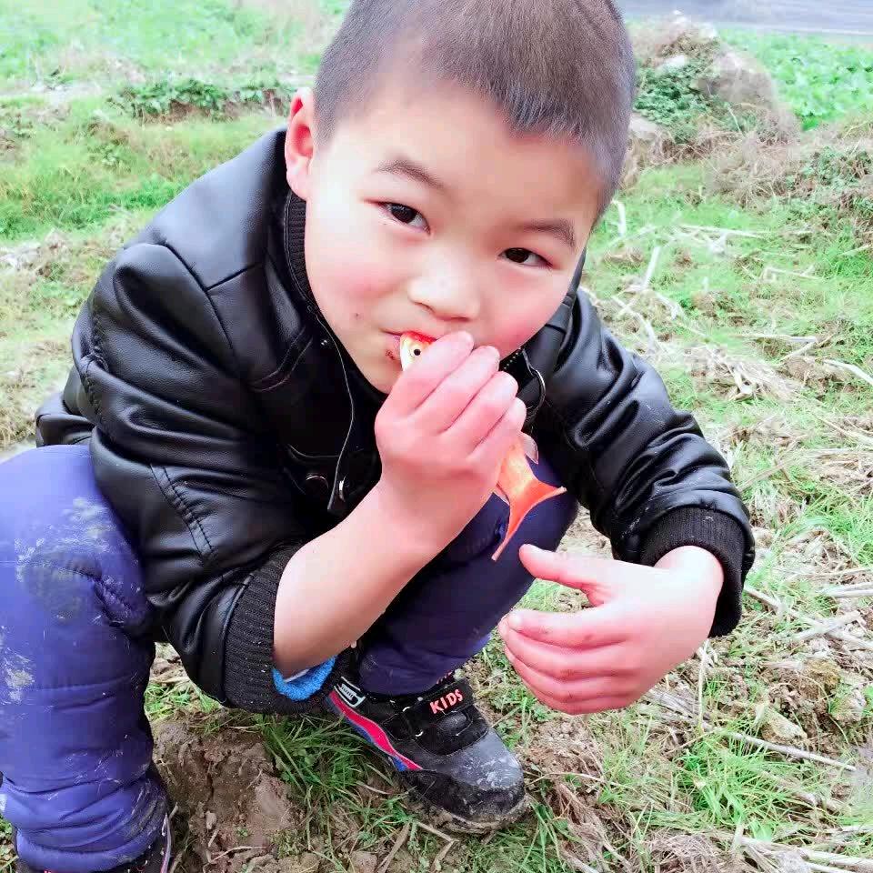 心灯灿烂