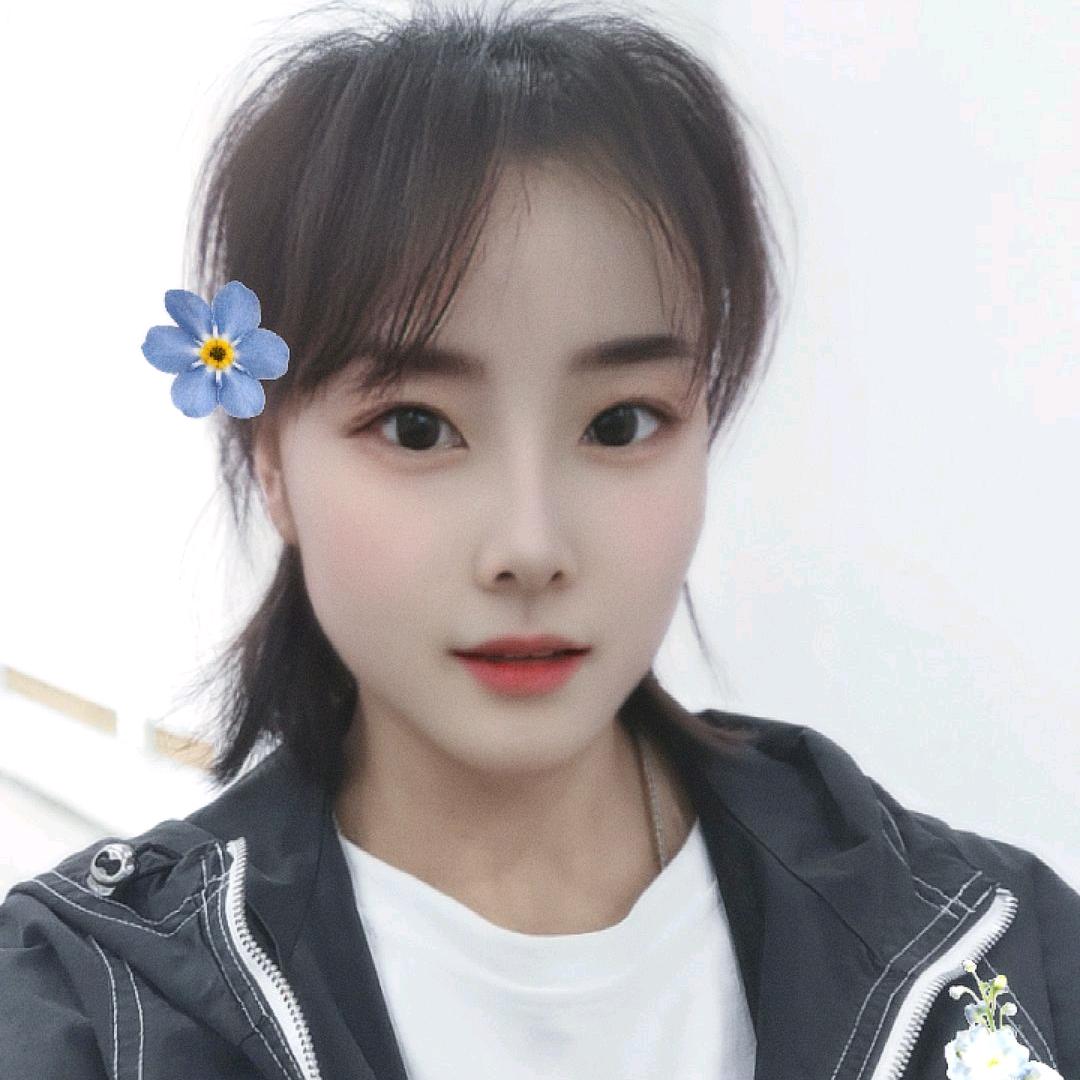 小罗罗的故事🍀