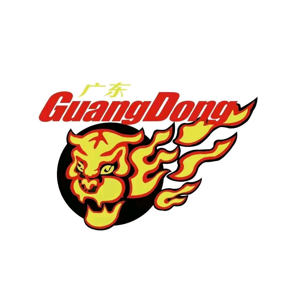 广东东阳光