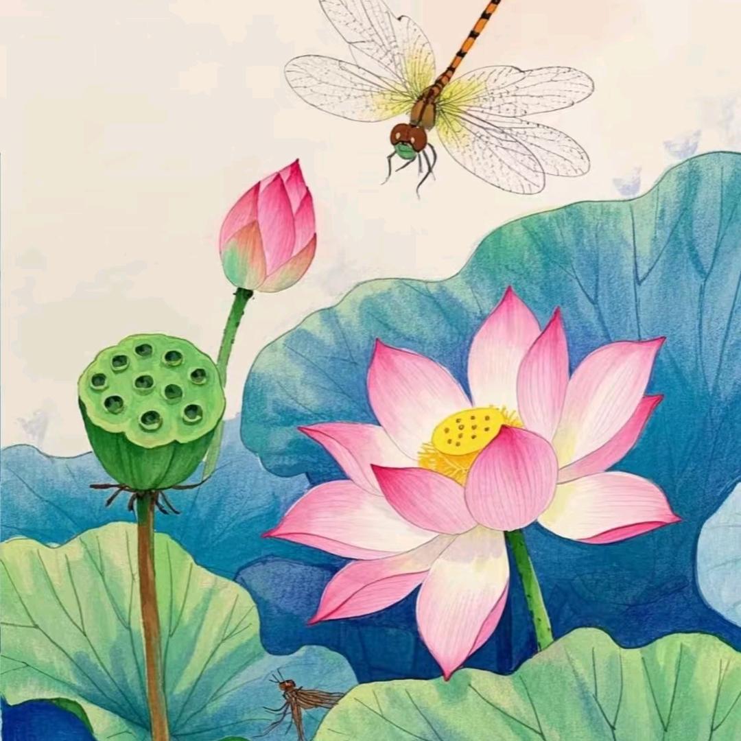 小琴