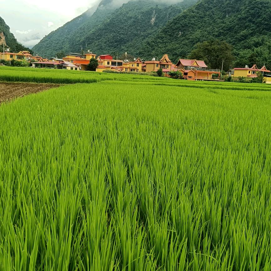 KV智能灯光解决方案幻彩灯带维修联我