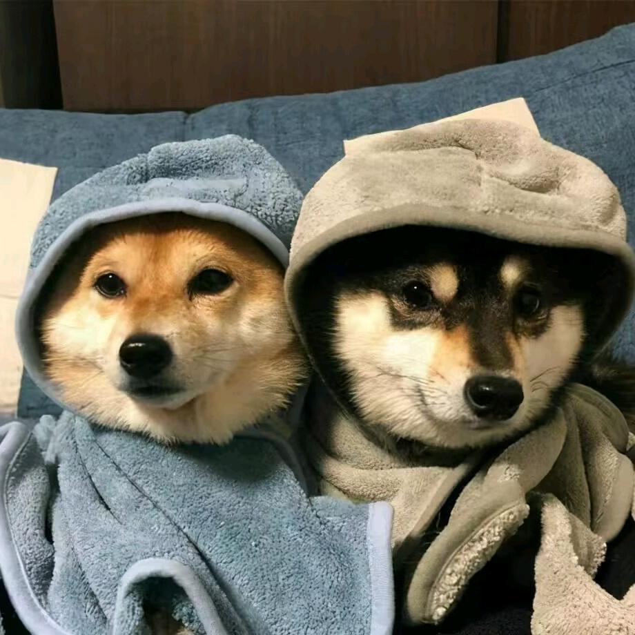 糖糖