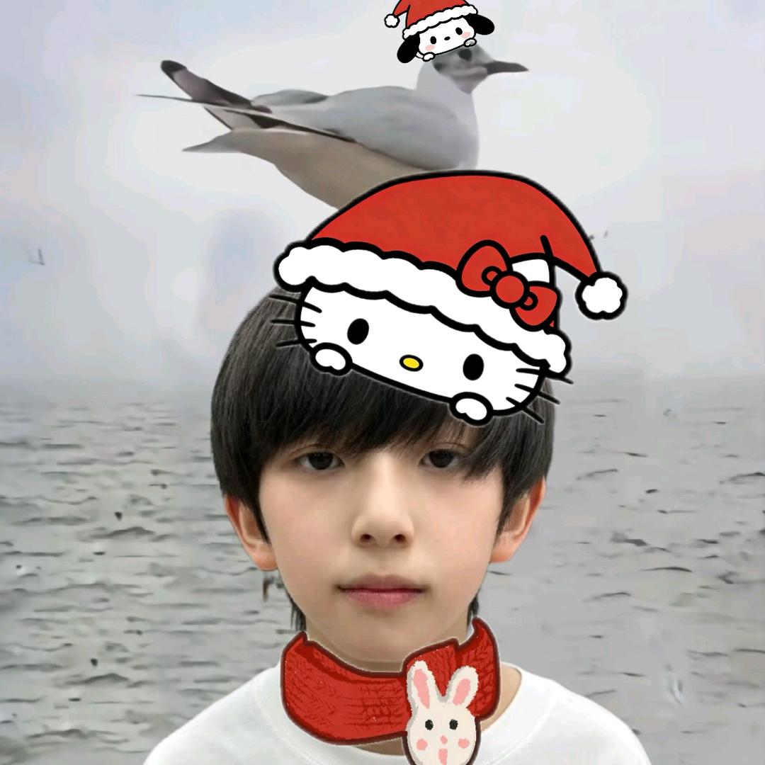 小祈超爱摸鱼（新音原价票已来但不去）