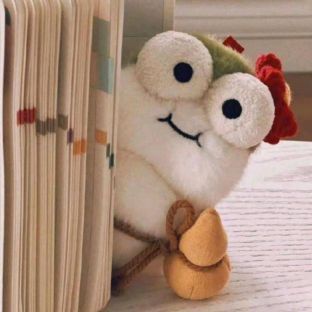 Assen——去过线下1次