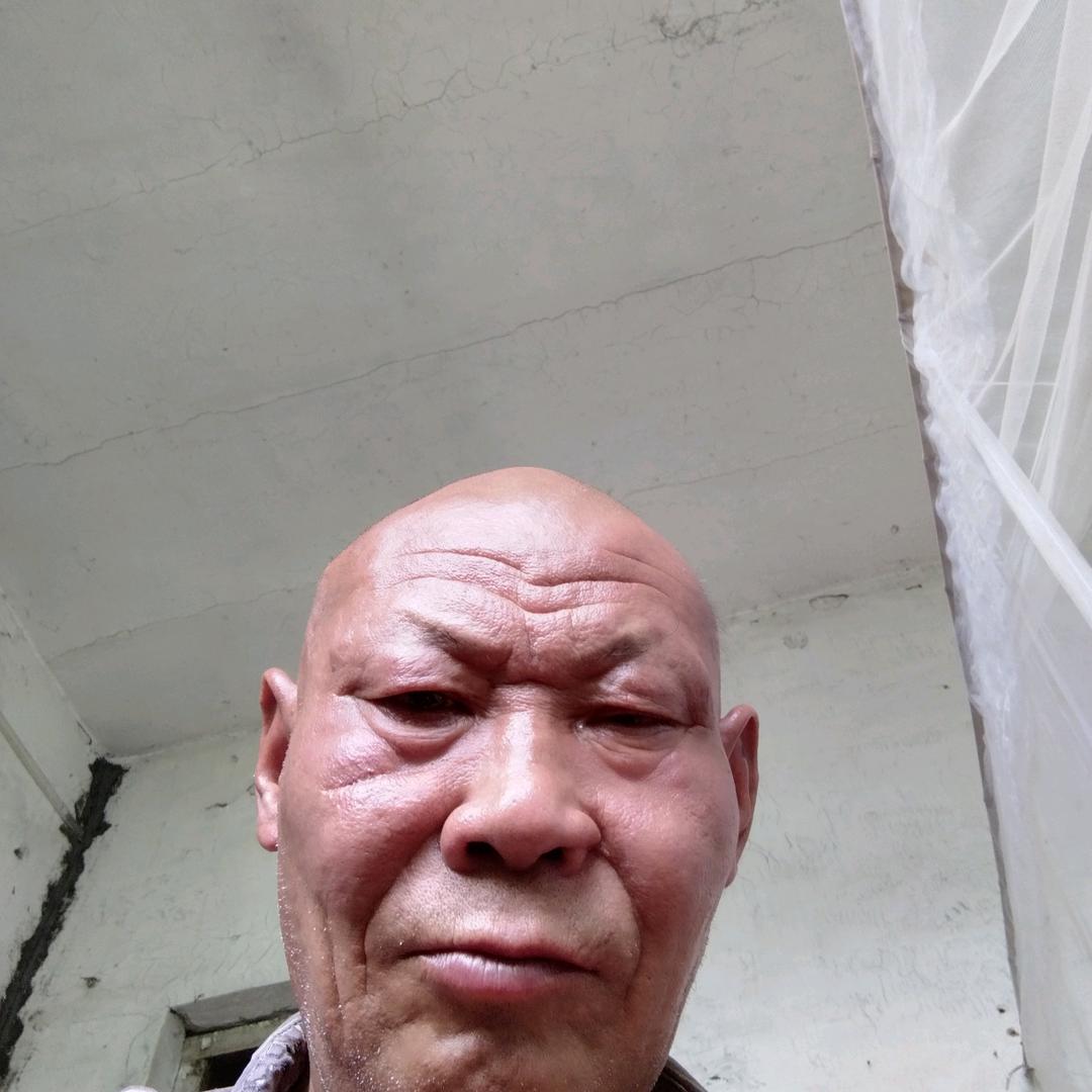 陈兆元