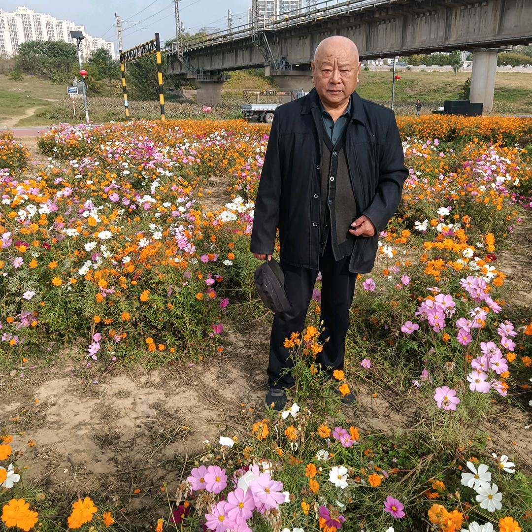 张家大院