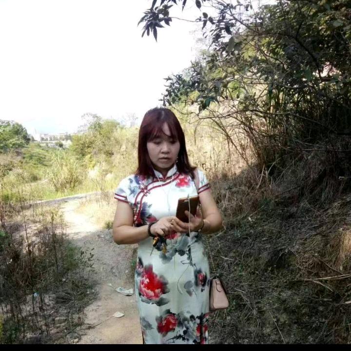 1969年的单身姐姐