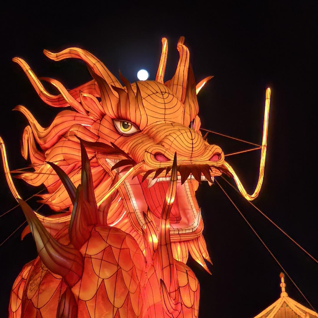 天天都是新奇特1