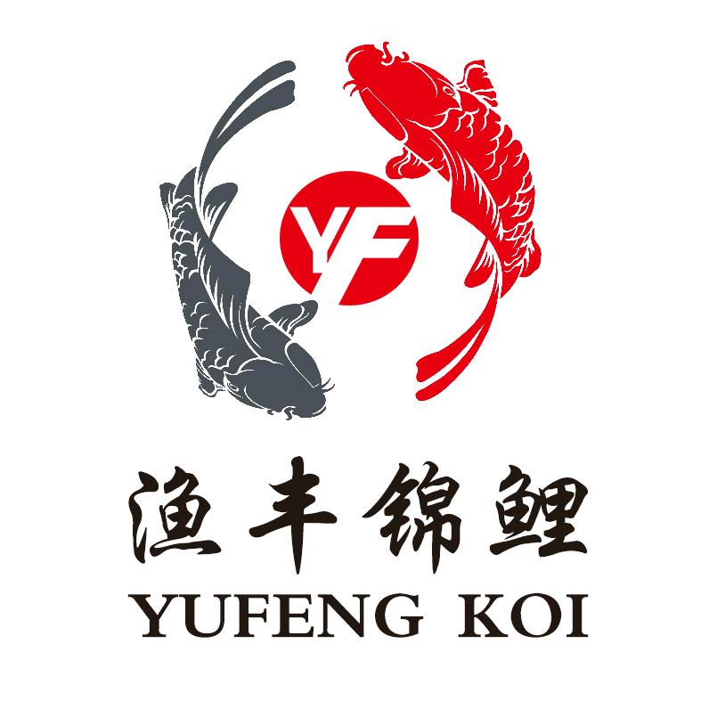 渔丰锦鲤磊哥