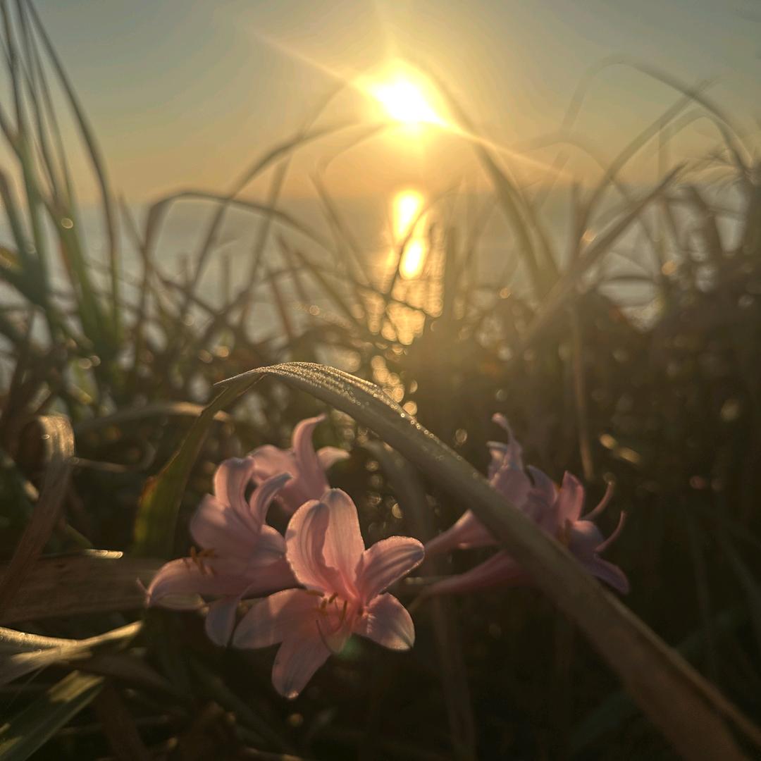三山