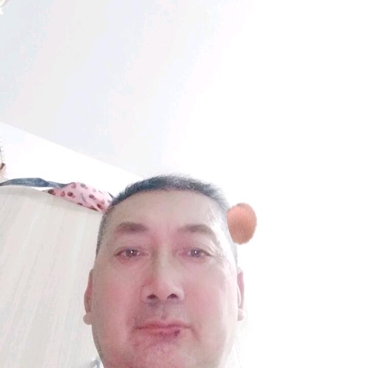 西北狼