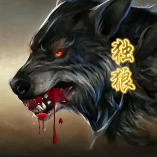 星月不问赶路人