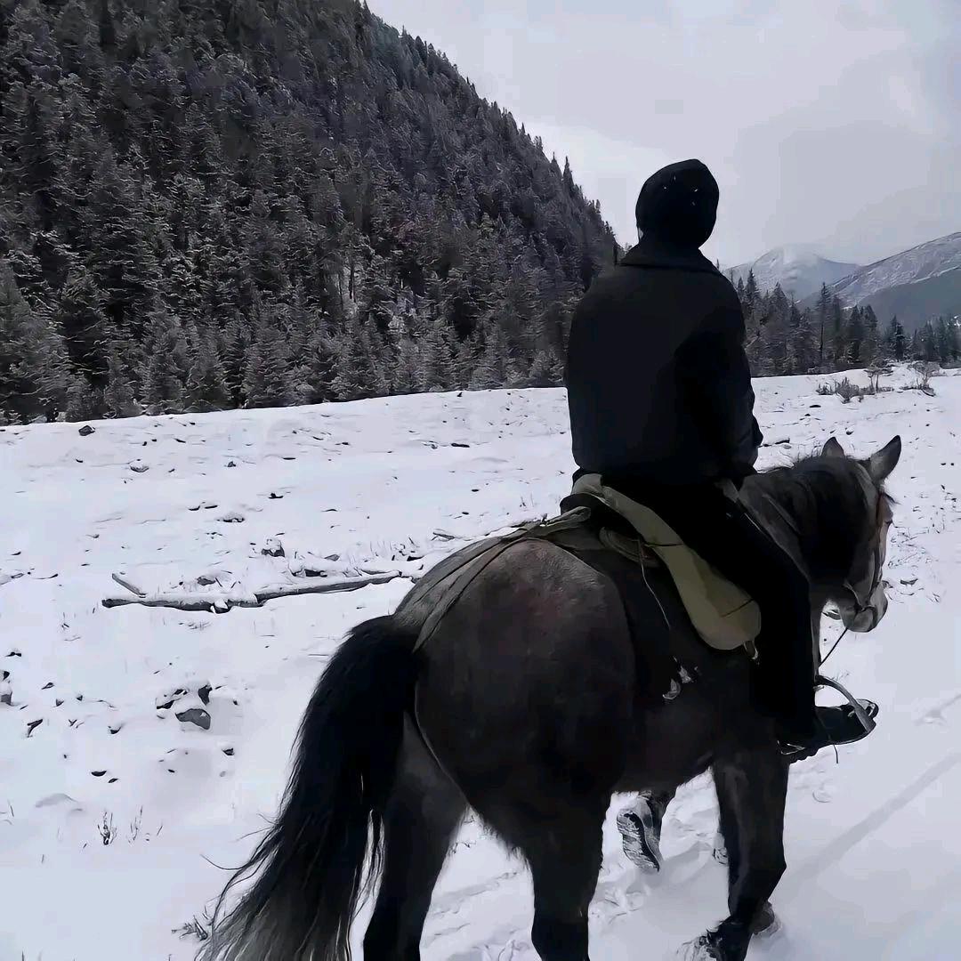 打常威的来福