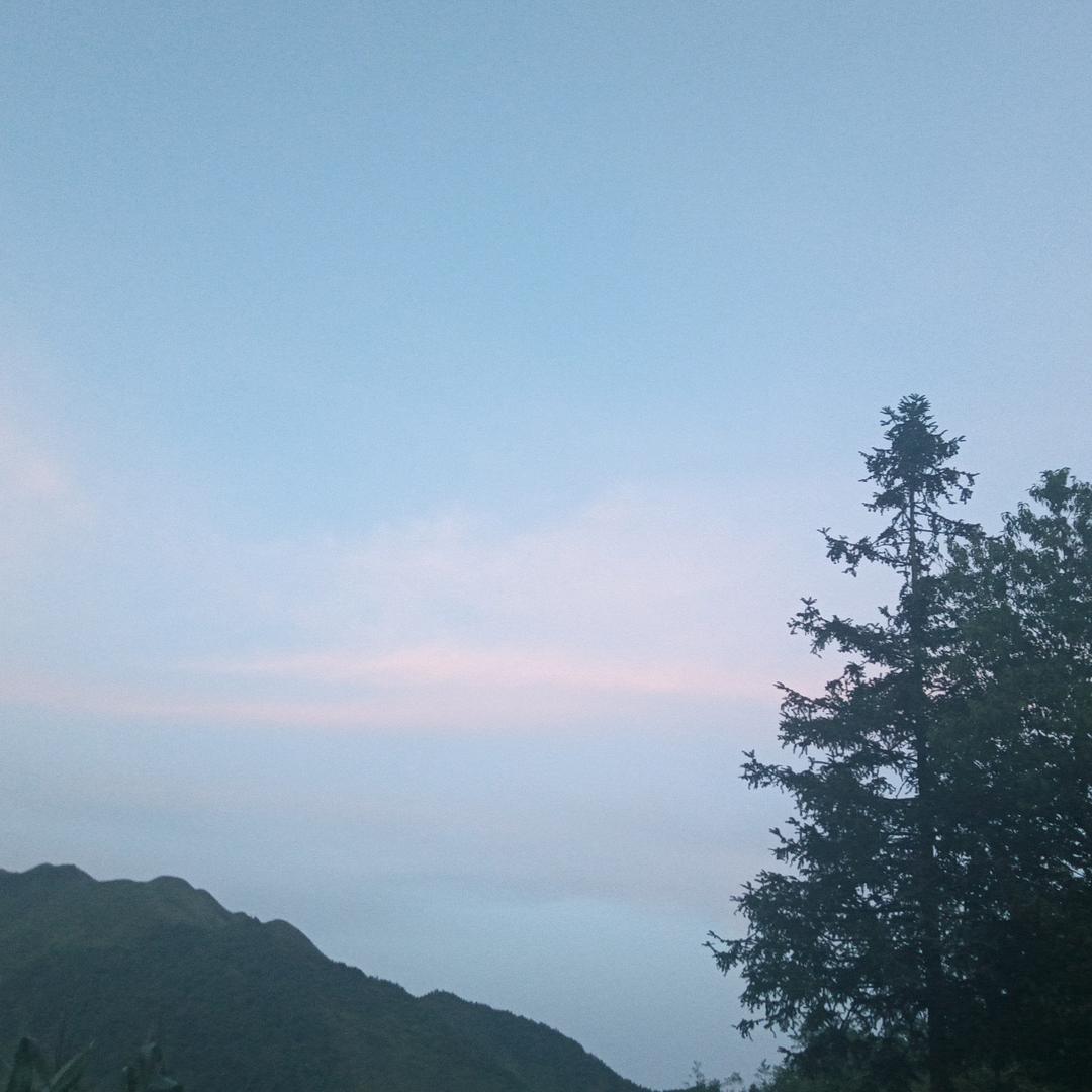 荷城羊肉粉