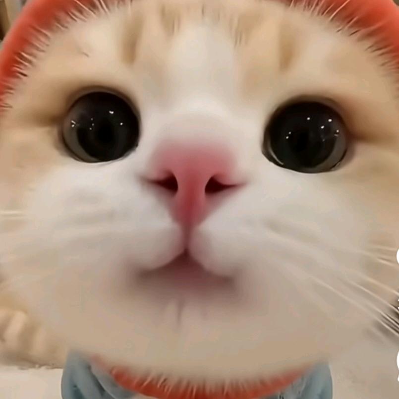 疯狂的蓝色酷酷脸