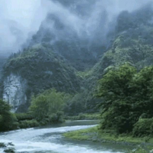 习惯有你💪