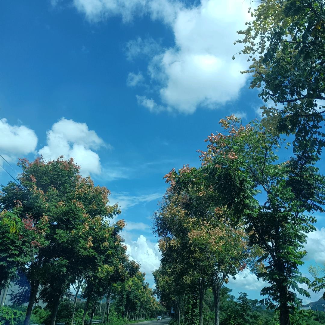 气宇轩昂