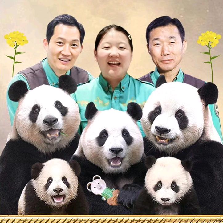 猫猫的熊样生活