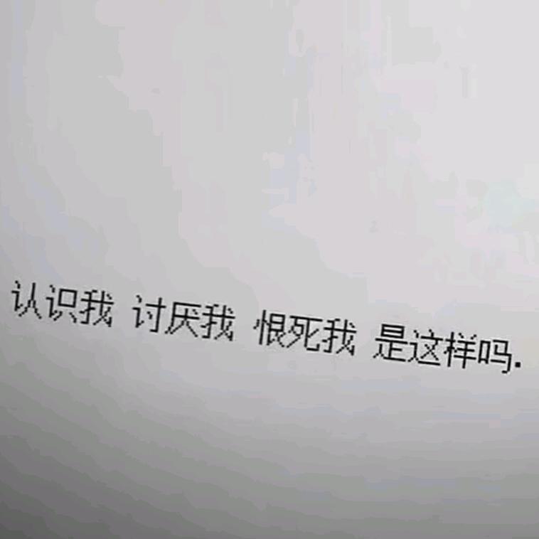 猫腻仙女抱☑🍃