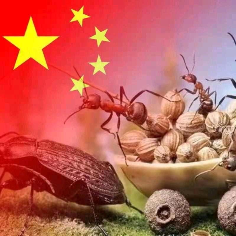 Half of the knowledg