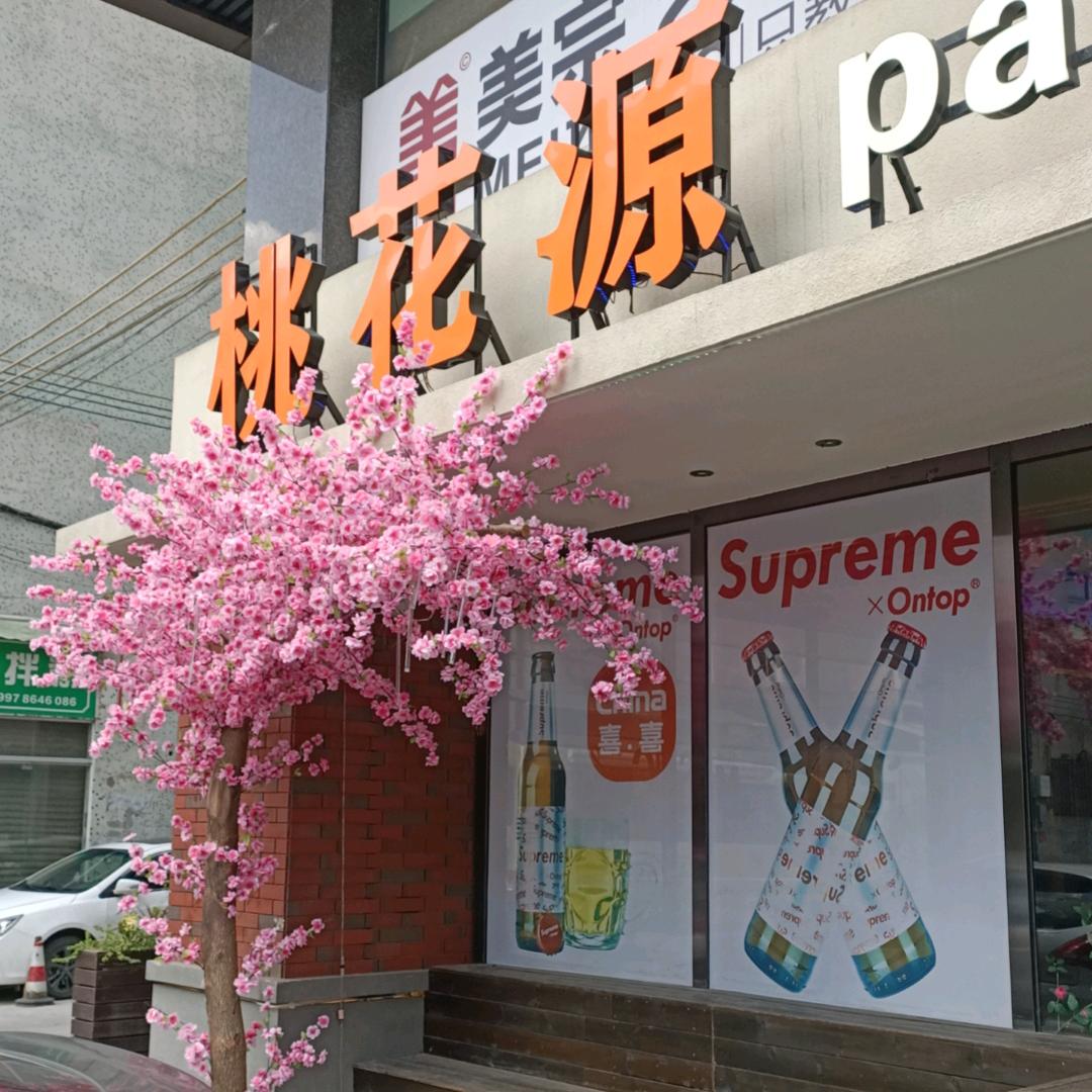 桃花源party club