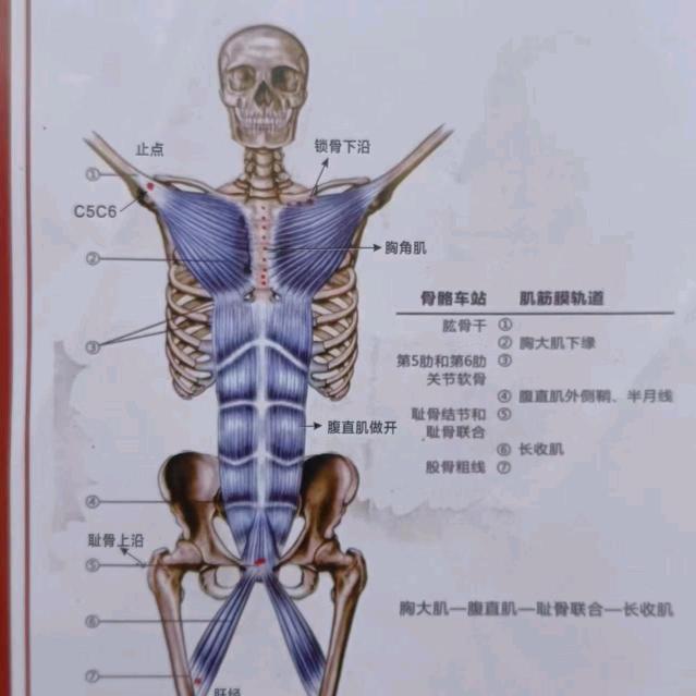 无疾