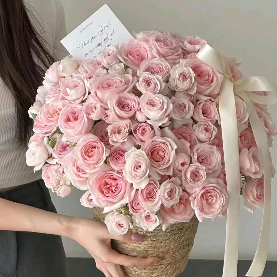 ❤️静静❤️