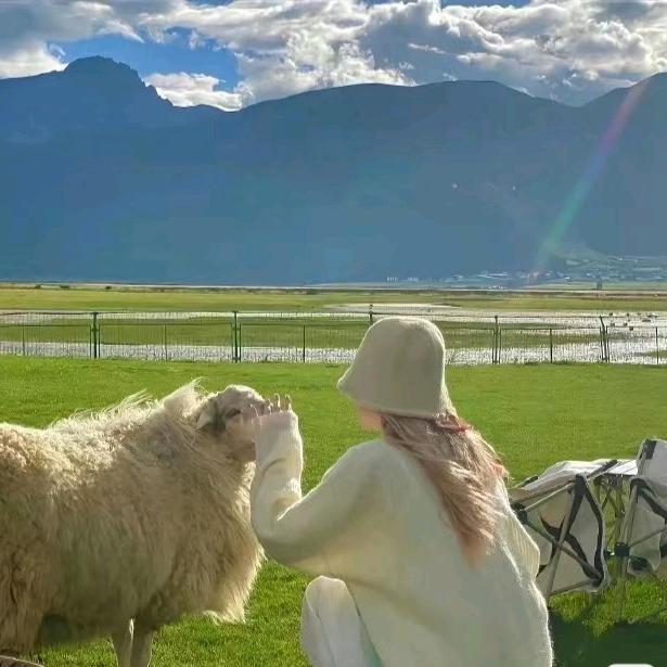 守住秘密和猪过夜