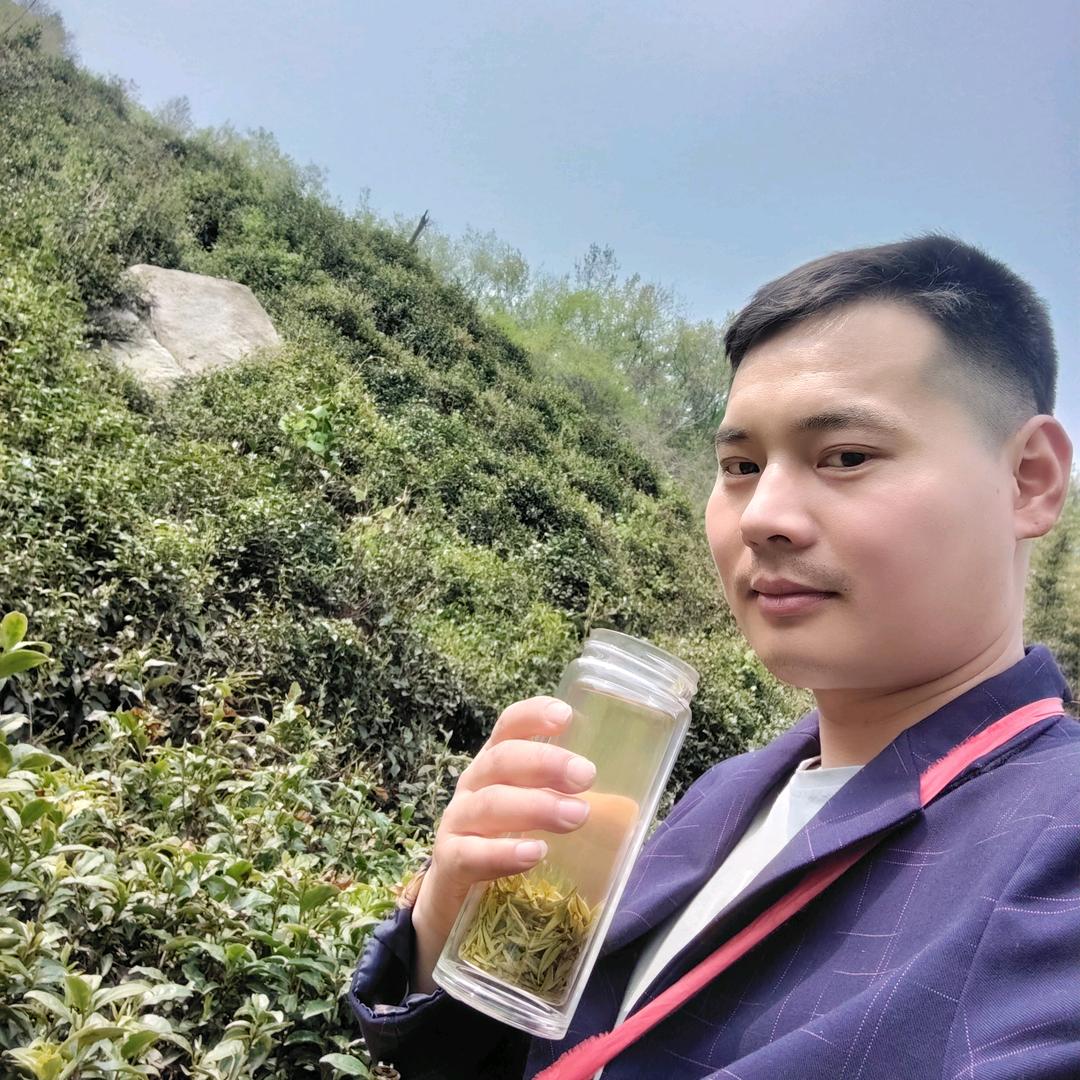 毛尖泡可乐