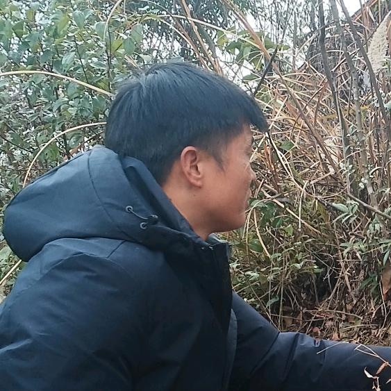 蓝雪天翼