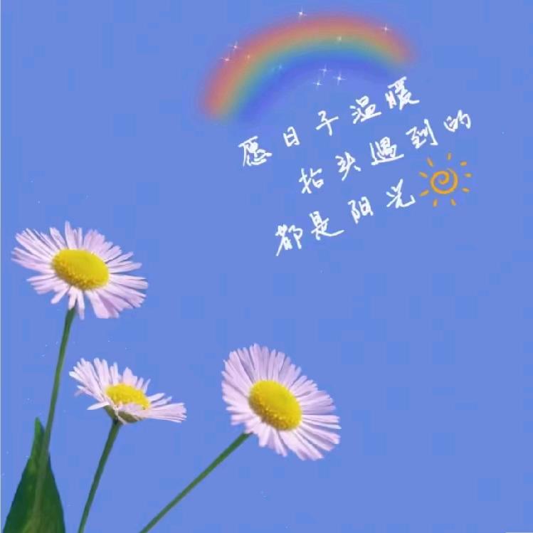 🌱ᐝ好柿朵朵