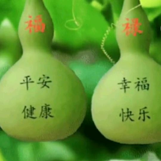 大展宏图3816