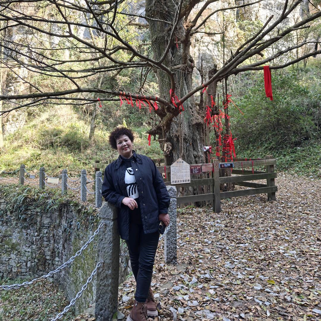 陆陆