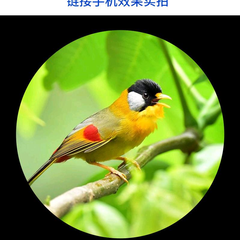 博兰克户外用品