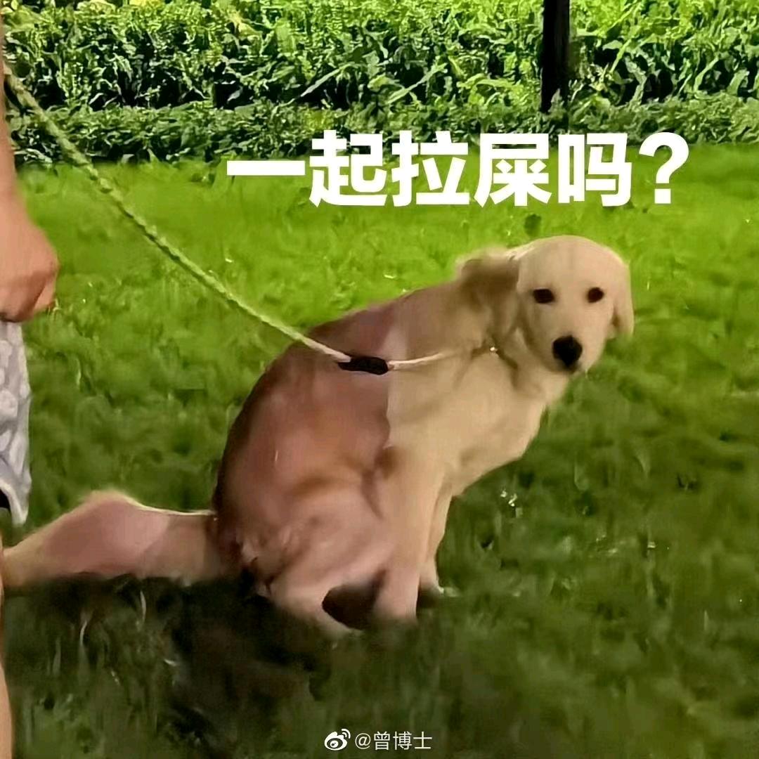 女大学生在线拉屎（上岸版）