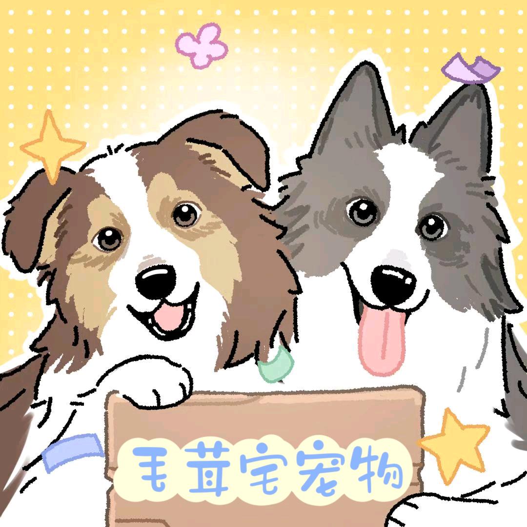 聊城毛茸宅新蕊萌宠严选