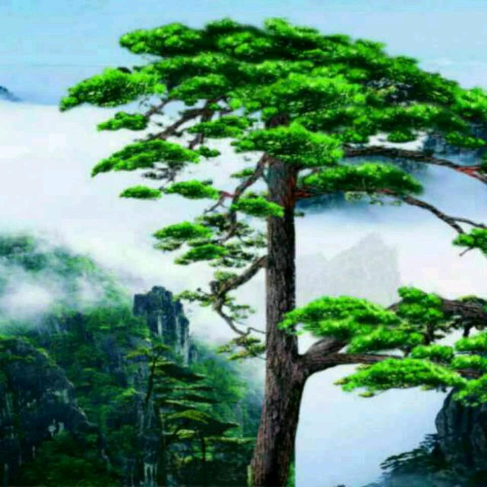 广德专业叉车出租，3至20吨，24小时服