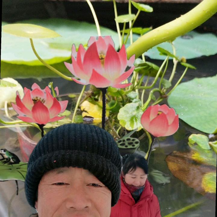 感恩有你〈〈於〉〉