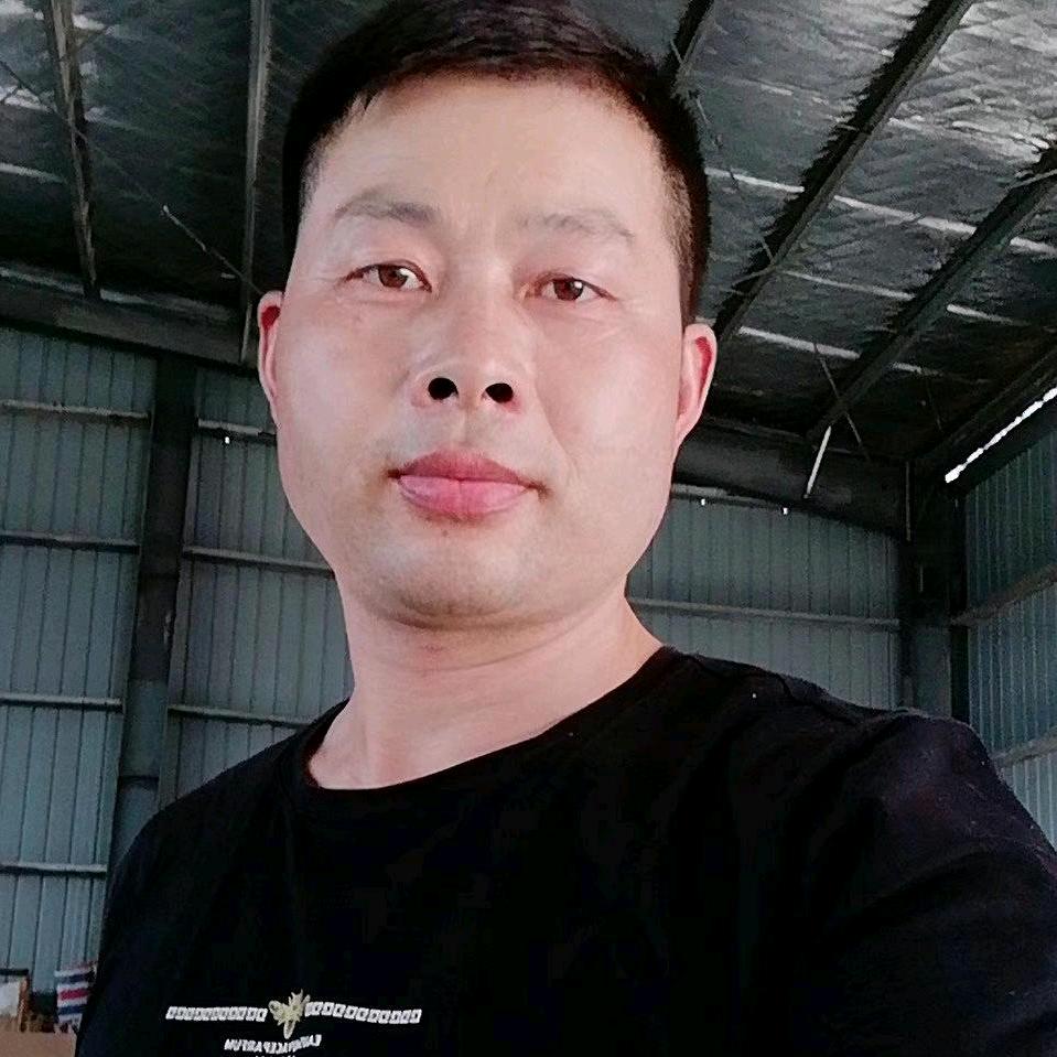尘缘禅心