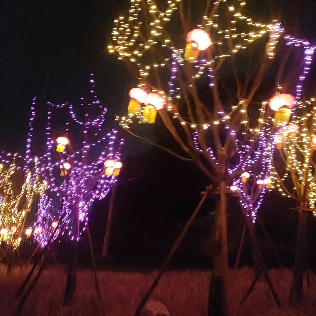 人生要努力奋斗