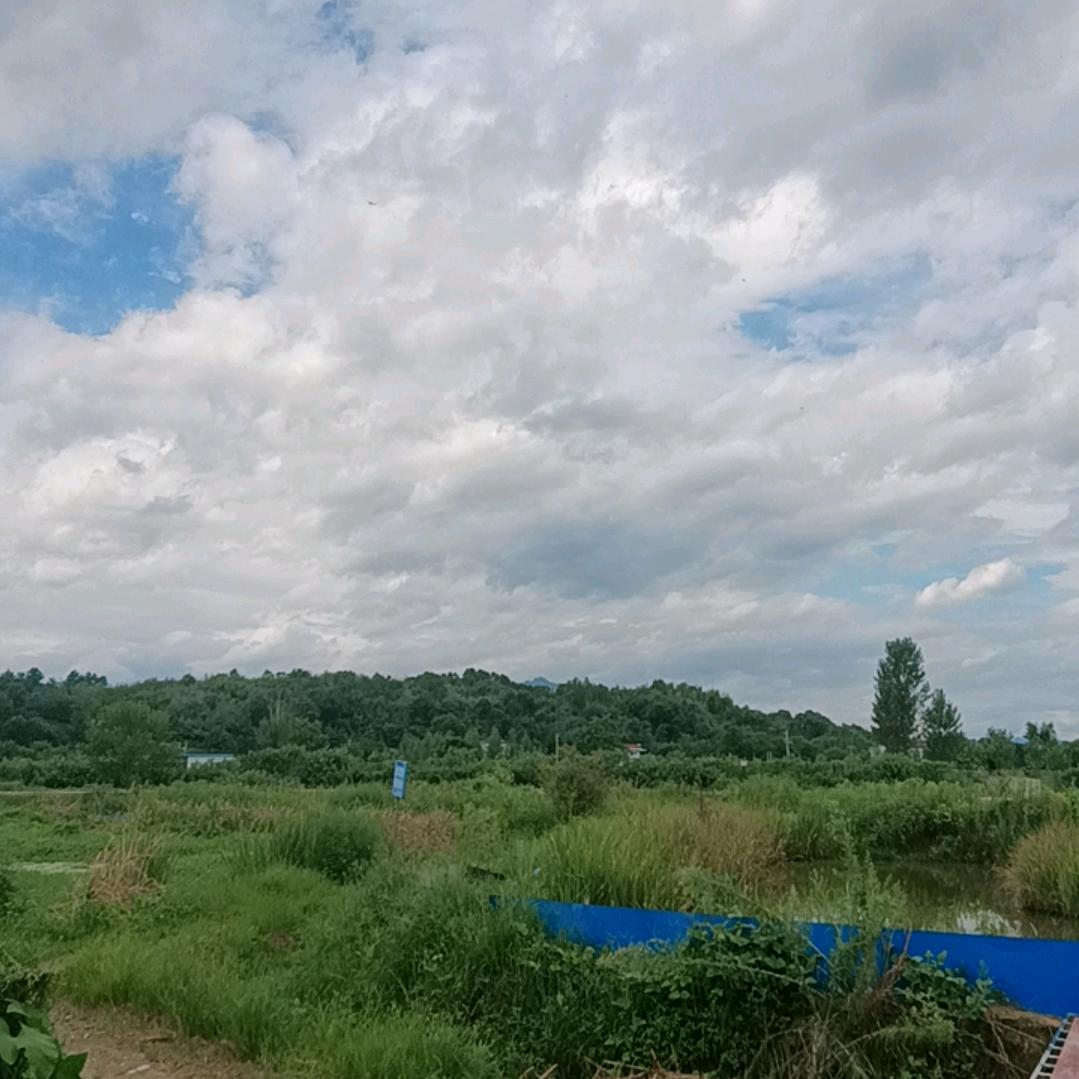 格局大哥