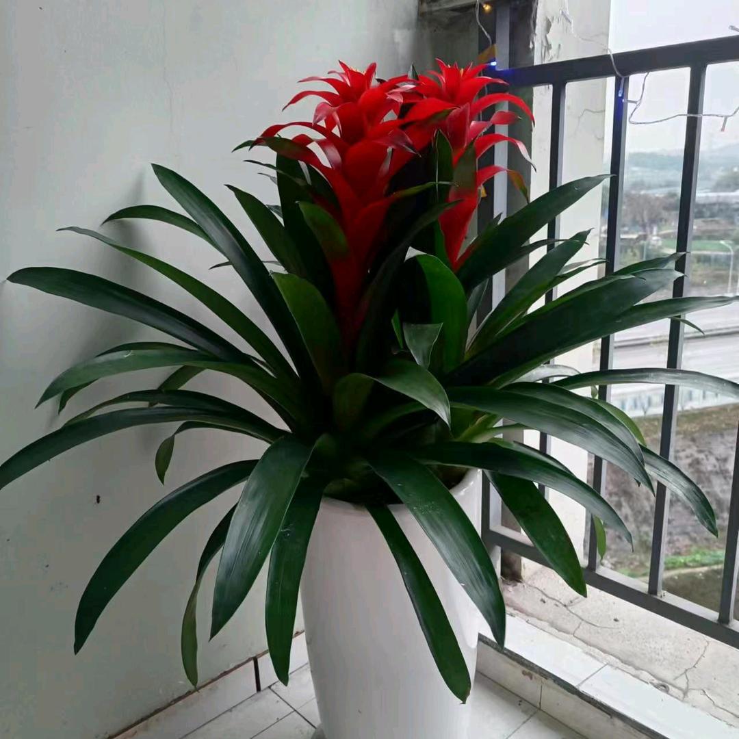 重庆生产线缆桥架厂