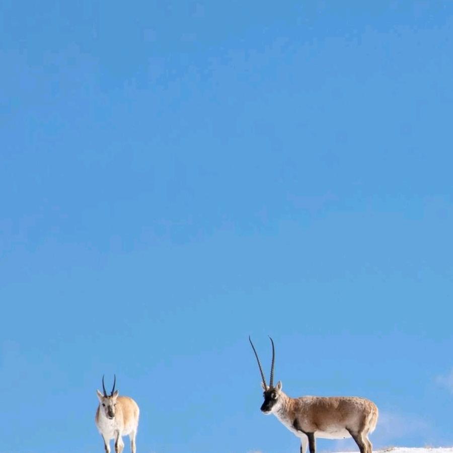 用户鑫辉6769002890616