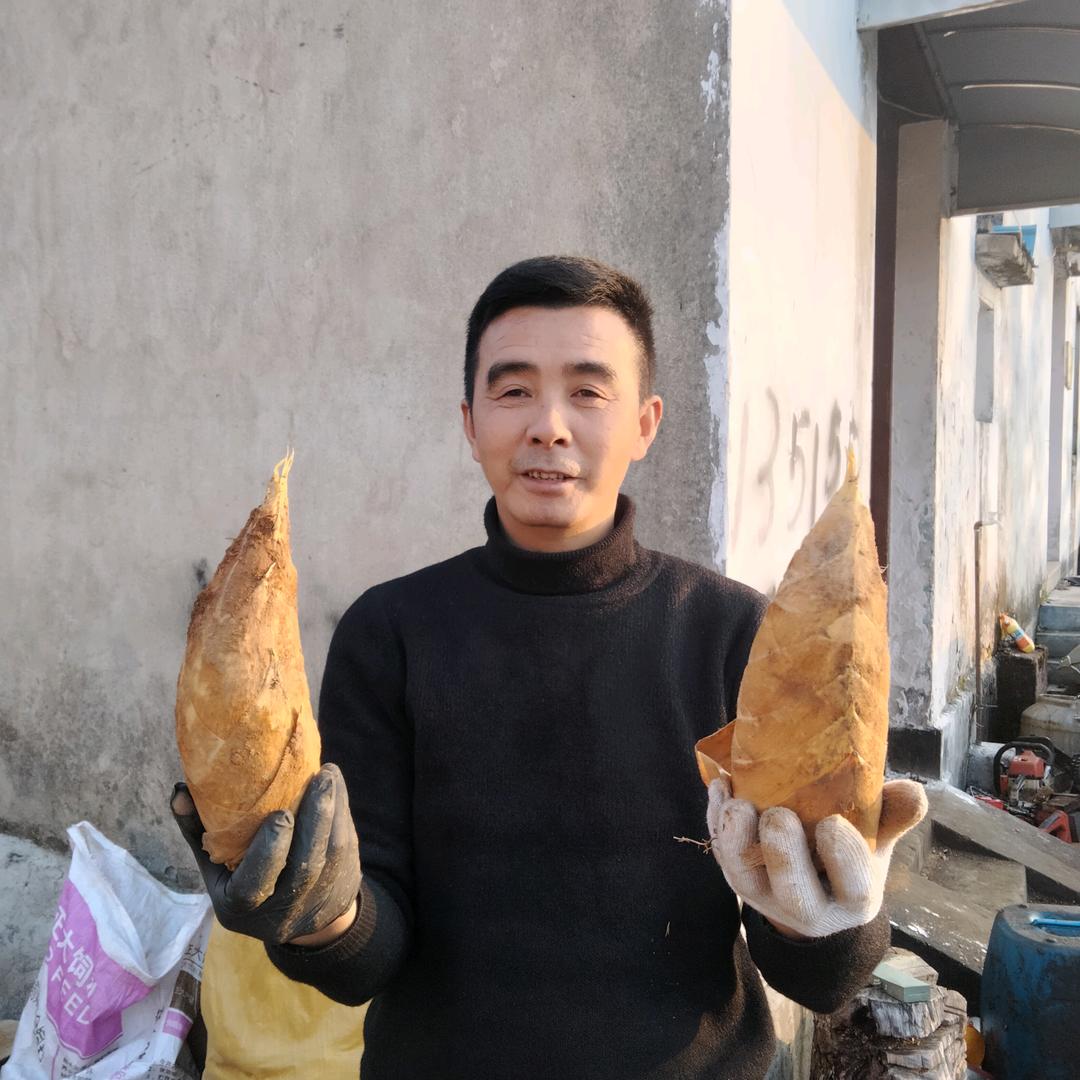 黄山太平三哥